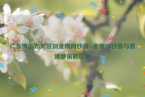 广东佛山如何区别金刚网纱窗--金刚网纱窗与普通纱窗的区别