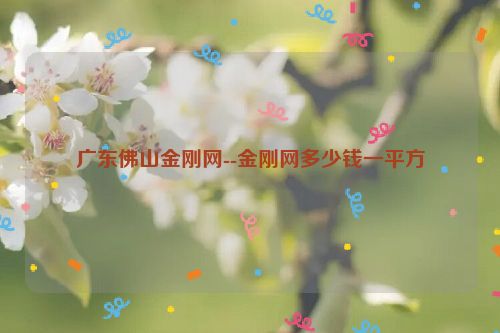 广东佛山金刚网--金刚网多少钱一平方