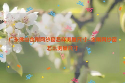 广东佛山金刚网纱窗怎样测量尺寸--金刚网纱窗怎么测量尺寸