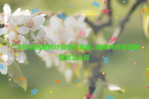 广东佛山金刚网纱窗图片高清--金刚网纱窗效果到底怎么样