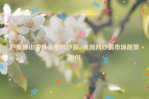 广东佛山零售金刚网纱窗--金刚网纱窗市场前景如何